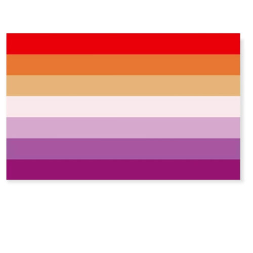Bandera 'lesbiana' 90 x 150 cm