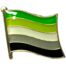 Pin (mini) bandera 'aromántico'