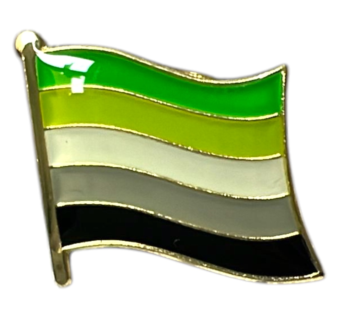 Pin (mini) bandera 'aromántico'