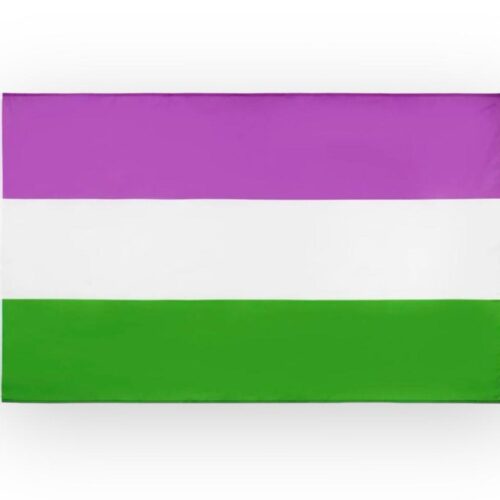Bandera 'genderqueer' 90 x 150 cm