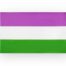 Bandera 'genderqueer' 90 x 150 cm