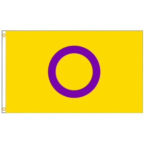 Bandera 'intersexual 90 x 150 cm