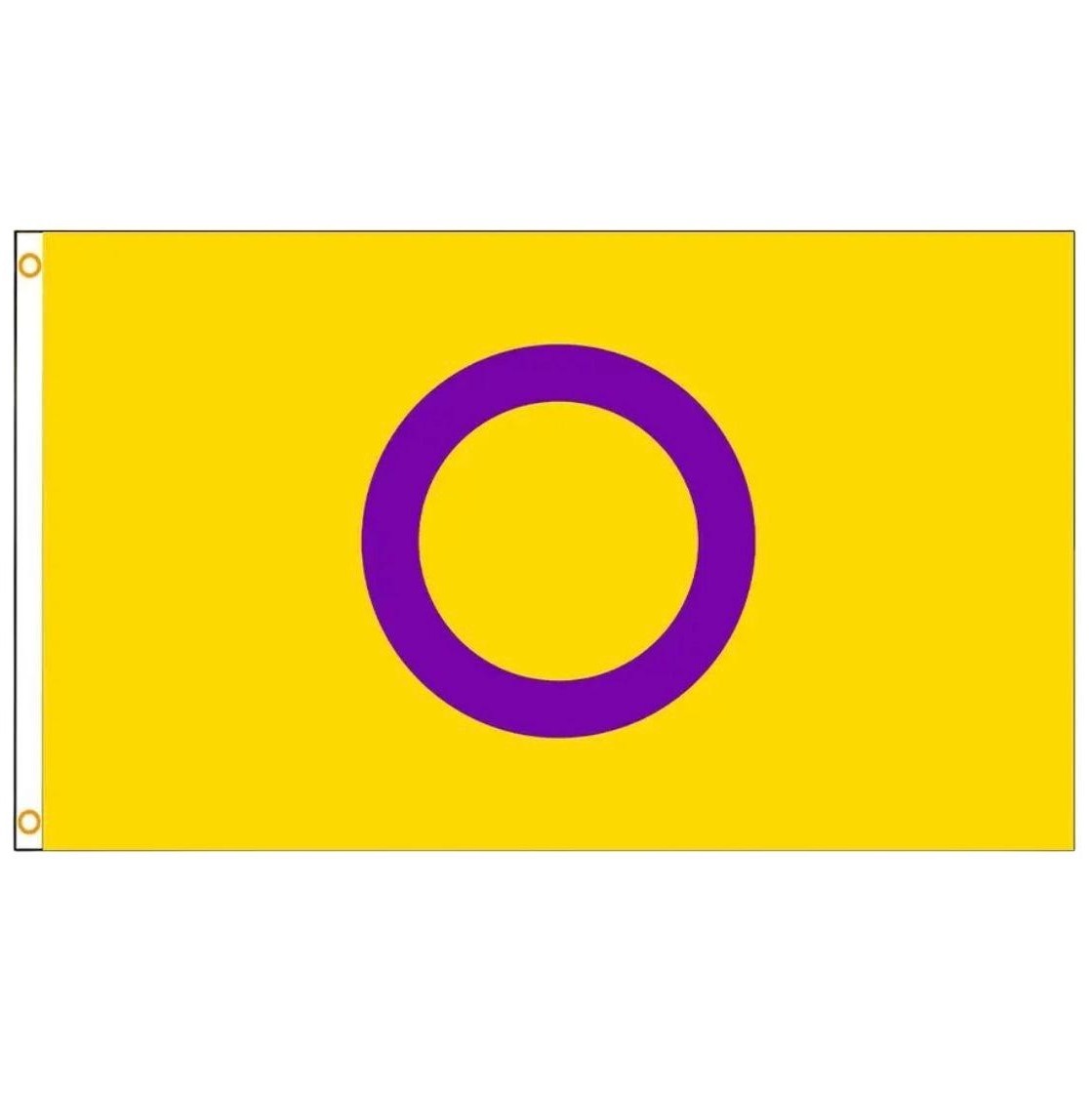 Bandera 'intersexual 90 x 150 cm